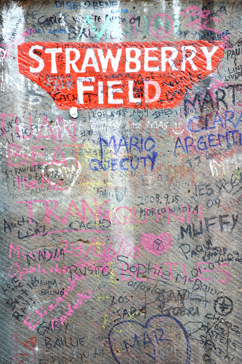 strawberryfields_web