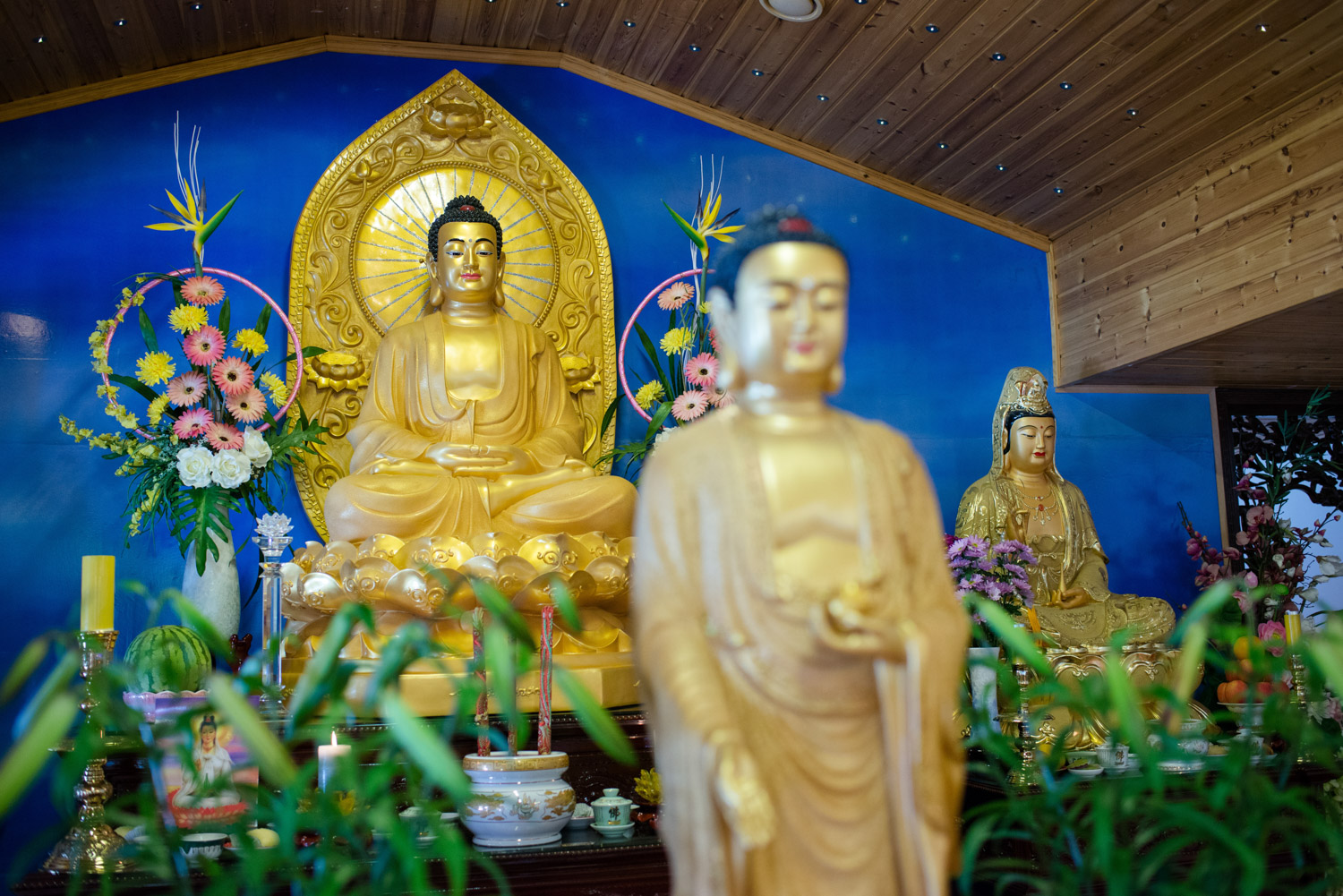 Moss 03.07.2016 Midt i et industriområde i Moss ligger et prangende buddhisttempel i ekte vietnamesisk stil. Tempelet heter Tam Bao Tu og er ledet av munken Thich Vien Tinh. FOTO: JOAKIM S. ENGER